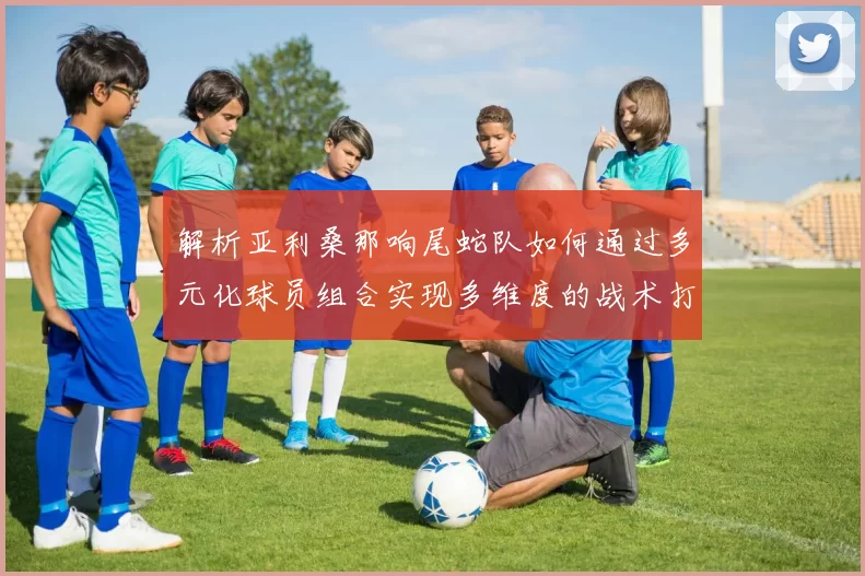 解析亚利桑那响尾蛇队如何通过多元化球员组合实现多维度的战术打击