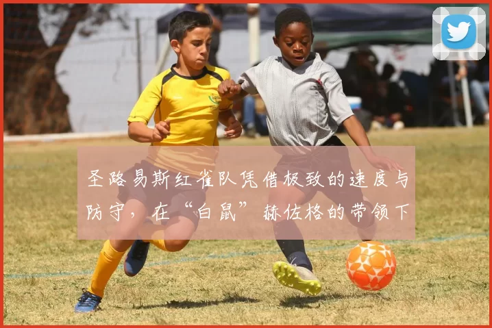 圣路易斯红雀队凭借极致的速度与防守，在“白鼠”赫佐格的带领下引领了小球战术革命