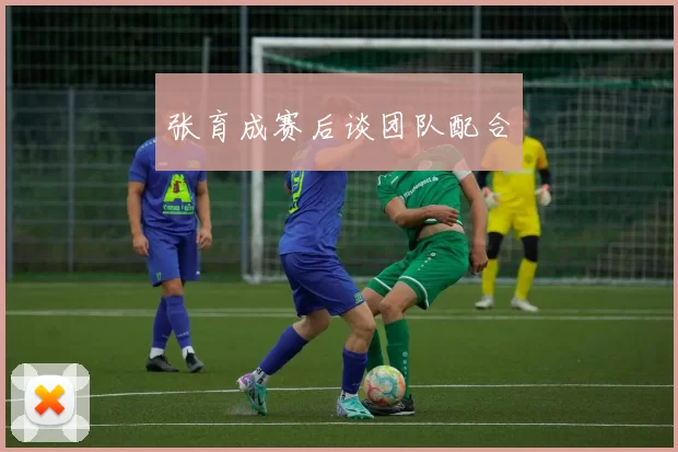 张育成赛后谈团队配合