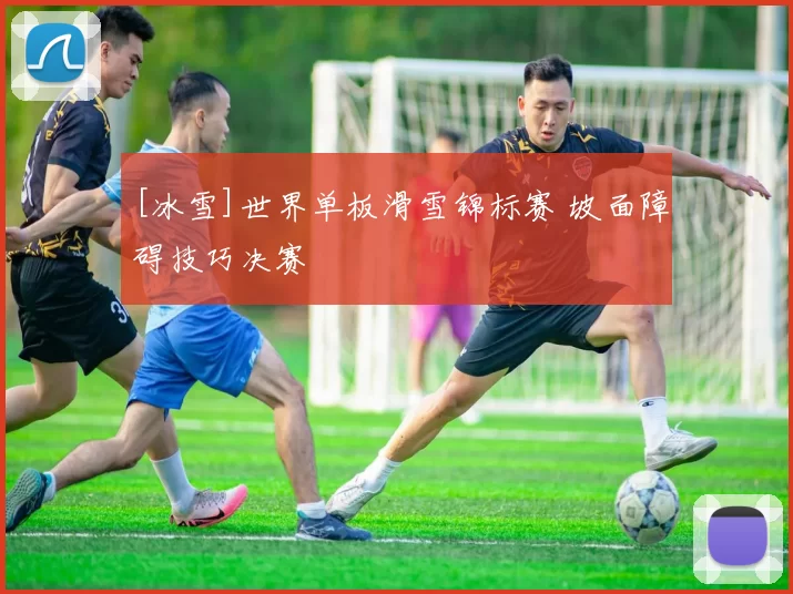 [冰雪]世界单板滑雪锦标赛 坡面障碍技巧决赛