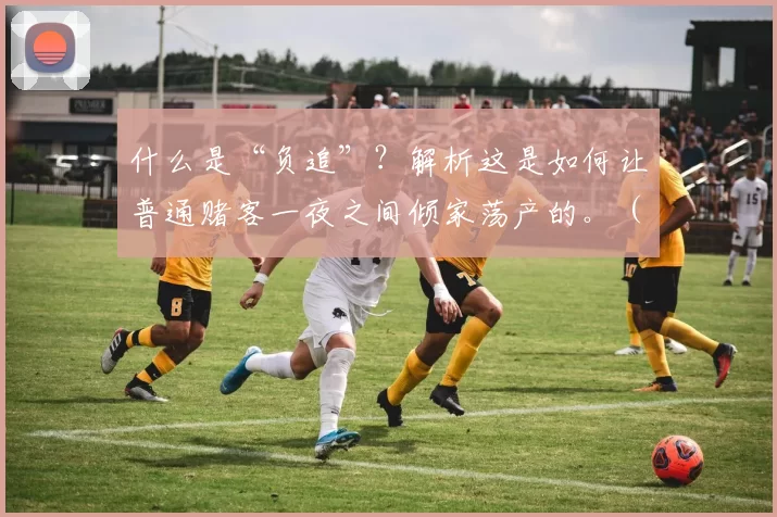 什么是“负追”？解析这是如何让普通赌客一夜之间倾家荡产的。（“负追”到底有多可怕？解析它如何让赌徒一夜输光家当）